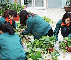 k8��������Ӯ���Ŷӷ緶