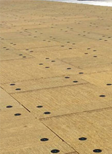 ���汣�����ް�