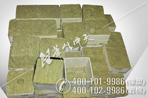 �����������ް�