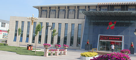 �����ޱ������ϳ���k8��������Ӯ�� С������������