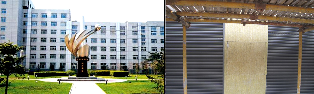 �й������ž�65631����