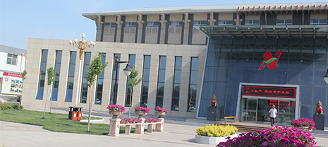 ��k8��������Ӯ�� С������������