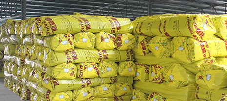 ���ܱ��°��ͻ������֪������