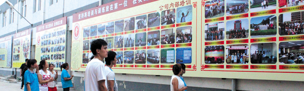 k8��������Ӯ�Ұ����Ļ�����