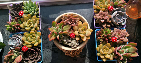 �����칫��� k8��������Ӯ������ɫϲӭֲ����