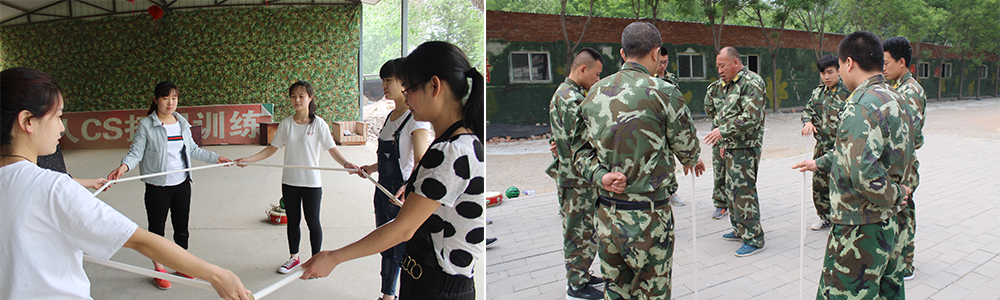 ����ɭ����Ϸ