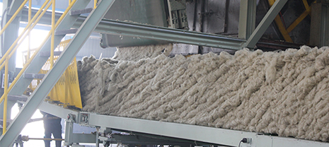 ���ް巺���ѷ� k8��������Ӯ������������ô��