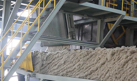 ���ް�Ϊʲô�������������ڱ�����