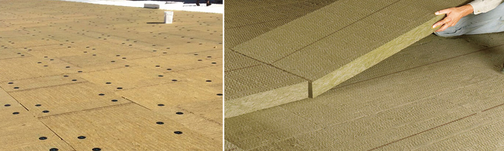 k8��������Ӯ���������ް�