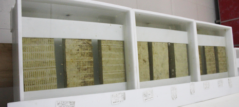 ��ǽ���°���Щʩ��������Ҫ֪��