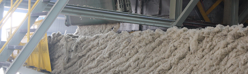 k8��������Ӯ������������