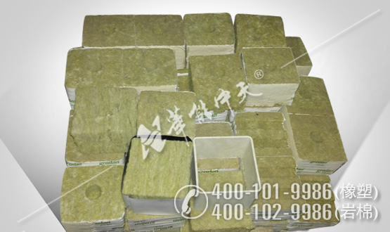 �����������ް�