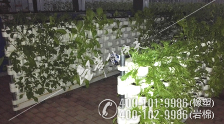 k8����(�й�)����Ӯ�ҡ�һ������