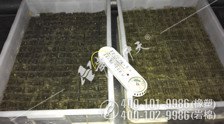 k8����(�й�)����Ӯ�ҡ�һ������